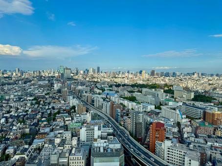 キャットタワーからの眺望 渋谷方面 キャットタワーからの眺望 渋谷方面の写真