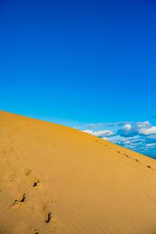 鳥取県　鳥取砂丘の風景 鳥取砂丘,日本の風景,自然の写真素材