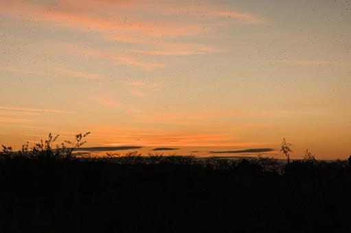 朝焼け 朝焼け マジックアワー,早朝,朝の写真素材