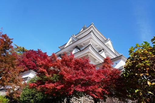 天守炎上 秋,紅葉,城の写真素材