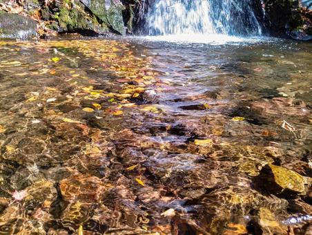 滝つぼの透明度 白滝,透明度,落ち葉の写真素材