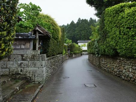 知覧 武家屋敷通り 知覧 武家屋敷通り 知覧,武家屋敷通り,鹿児島の写真素材