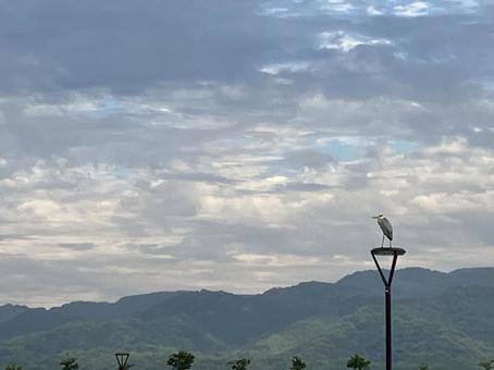 空と山と鳥 空と山と鳥 雲,空,曇りの写真素材