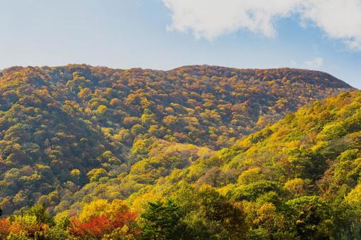 紅葉の山⑹ 山,紅葉,黄葉の写真素材