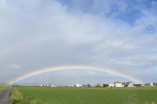 田んぼと虹 田んぼと虹 虹,空,雲の写真素材