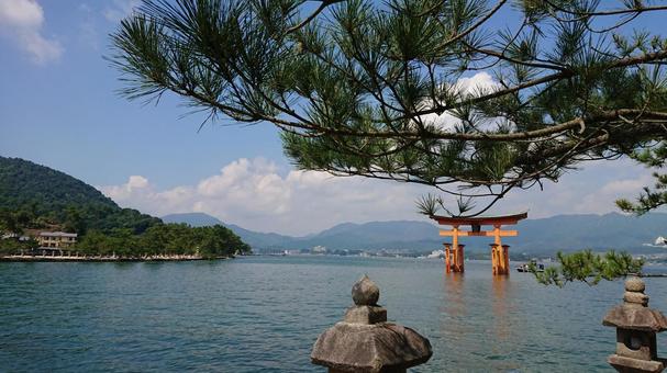 宮島 宮島の写真