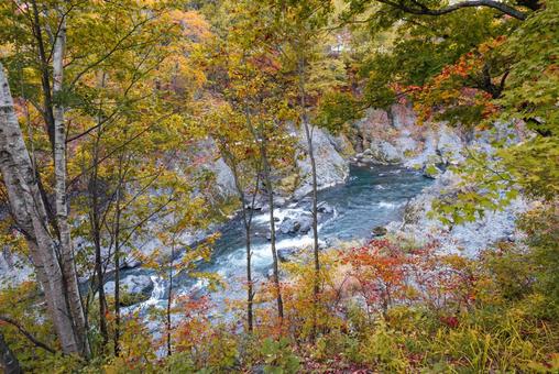 秋の滝上町の風景の写真