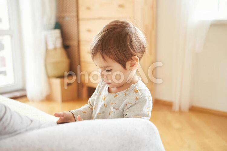 スマホを見る男の子1 男の子,スマホ,動画の写真素材