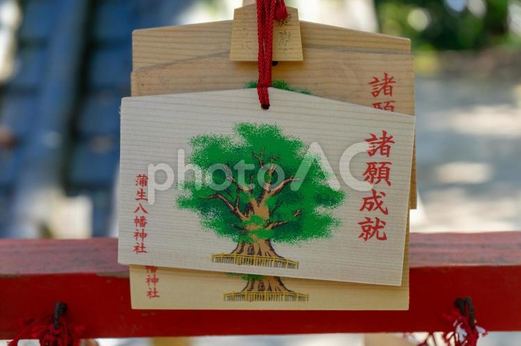 蒲生八幡神社の絵馬 蒲生八幡神社,神社,鹿児島の写真素材