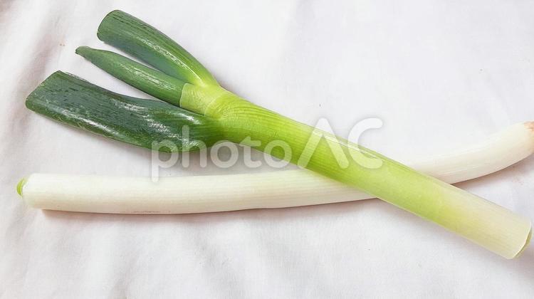 半分にカットされた長ネギ・3 長ネギ,ねぎ,野菜の写真素材