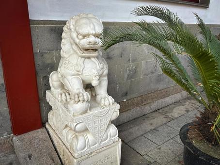 中国の建物前に立つ石獅子の像 中国の建物前に立つ石獅子の像 中国,石獅子,獅子像の写真素材