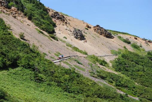 草津白根山ハイキングコース 草津白根山ハイキングコース 群馬県,高山植物,草津白根山の写真素材
