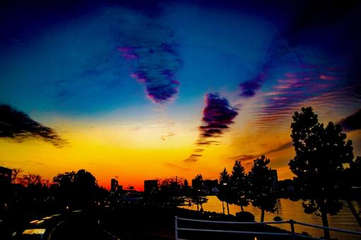 お台場の公園と夕焼け空 お台場の公園と夕焼け空 夕焼け,公園,木の写真素材