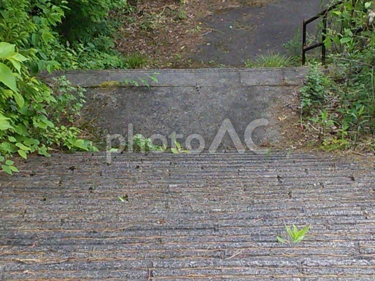 趣のある階段と草 階段,風景,石段の写真素材