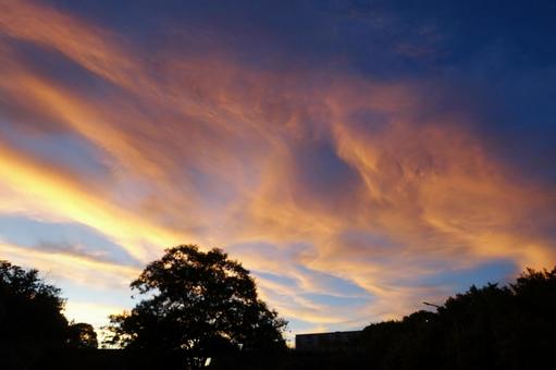 夏の朝空~日の出前~45 夏の朝空~日の出前~45 朝日,日の出,夜明けの写真素材
