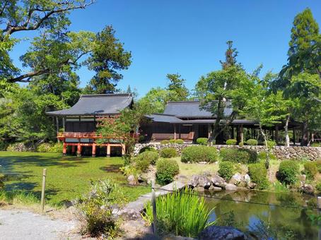 夏の宇佐神宮 宇佐神宮,神社,庭園の写真素材