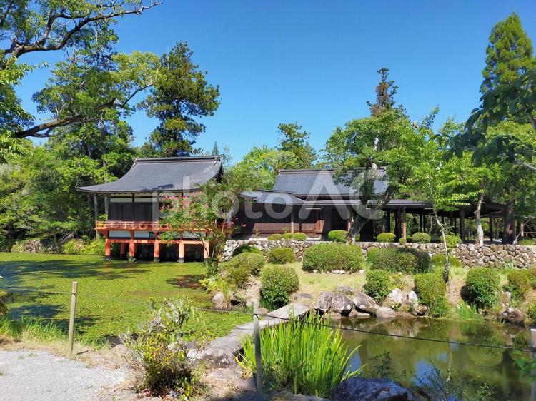 夏の宇佐神宮 宇佐神宮,神社,庭園の写真素材