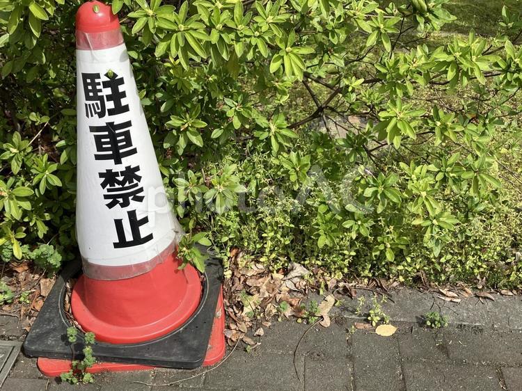 赤いコーンと駐車禁止 駐車禁止,コーン,赤いの写真素材