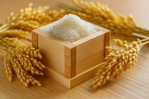 枡に盛られた新米と稲穂・お米・秋の味覚 枡に盛られた新米と稲穂・お米・秋の味覚の写真
