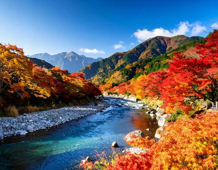 紅葉と川 紅葉と川の写真