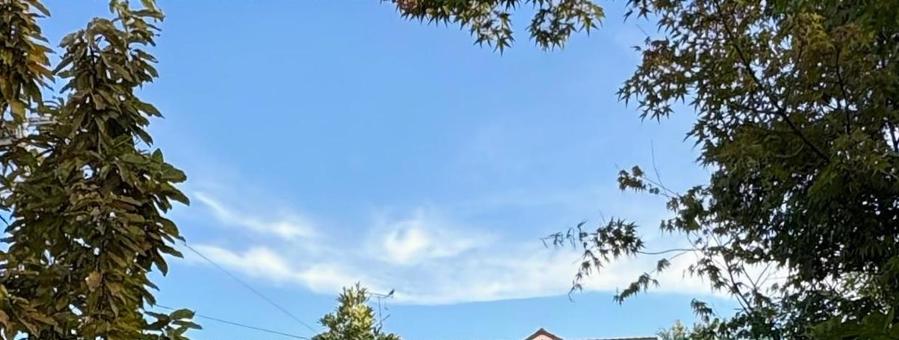龍のような雲 龍のような雲の写真