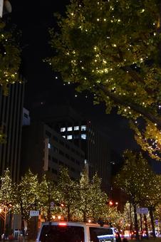 御堂筋イルミネーション 御堂筋,イルミネーション,夜景の写真素材