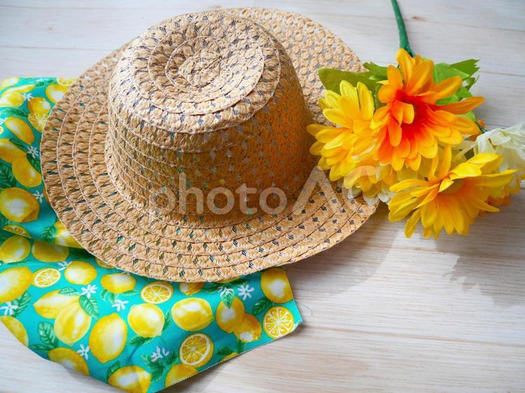 夏のイメージ 夏,イメージ,麦わら帽子の写真素材