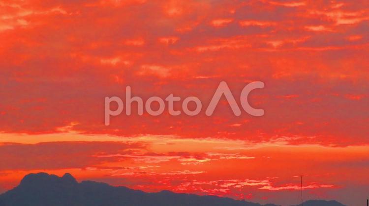 ６月下旬の野田池の朝焼け 背景,朝焼け,たそがれの写真素材
