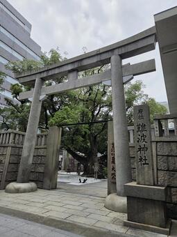 難波神社（大阪） 難波神社,神社,大阪の写真素材