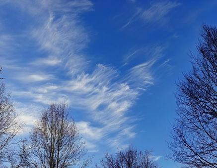 冬の朝 空と雲の風景2 冬の朝,晴れ,雲の写真素材
