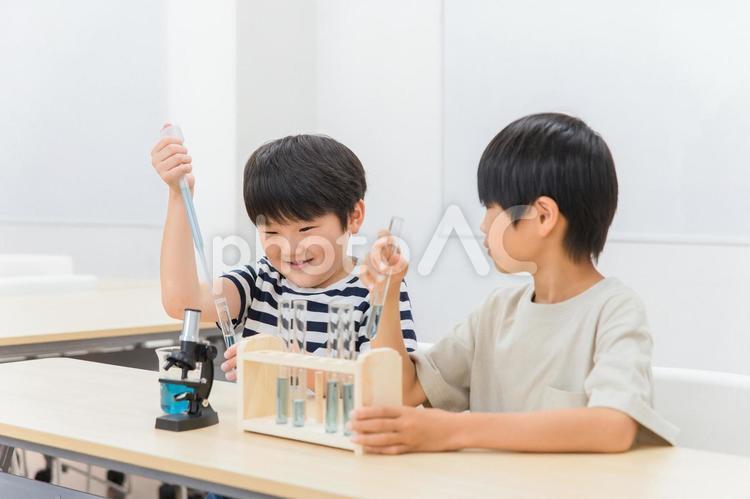 理科の実験をする小学生の男の子 理科,実験,化学の写真素材