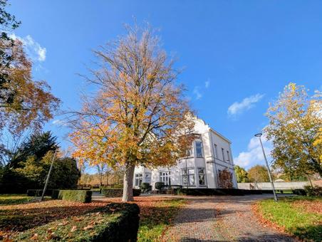 秋の公園 秋,木,公園の写真素材