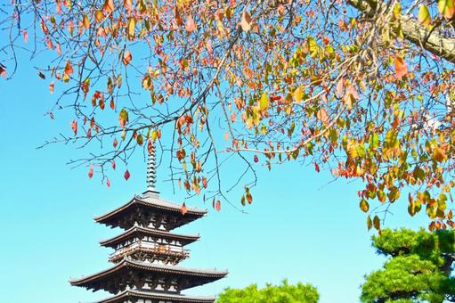 秋の薬師寺東塔 薬師寺,東塔,三重塔の写真素材