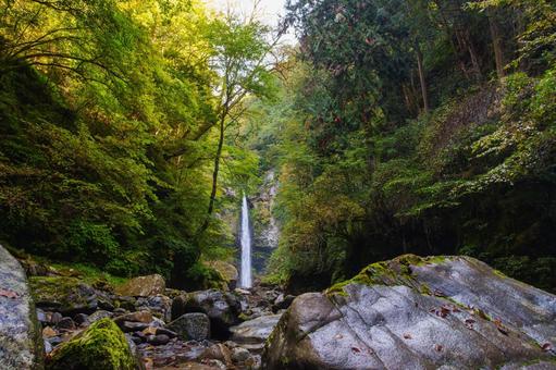 根尾の滝と渓流　（飛騨小坂） 滝,川,渓谷の写真素材