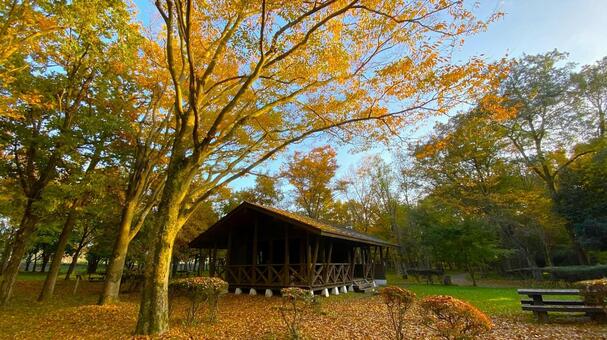 紅葉の北部公園（金沢） 紅葉,秋,公園の写真素材