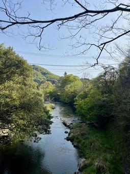 比叡山口の緑と川 比叡山口の緑と川 比叡山,京都,観光の写真素材