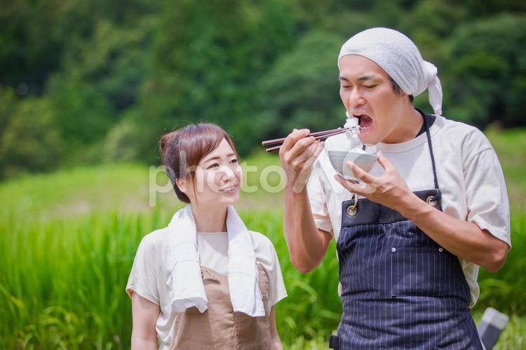 お米と農家 農家,お米,農業の写真素材