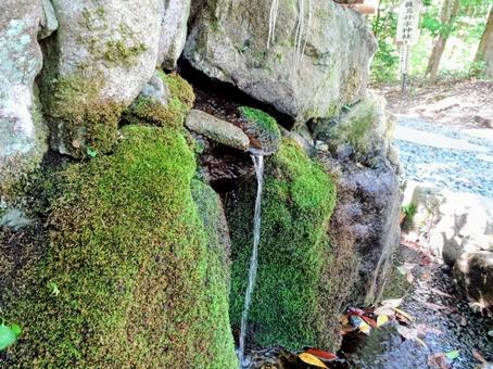 真名井神社御神水 真名井神社御神水の写真