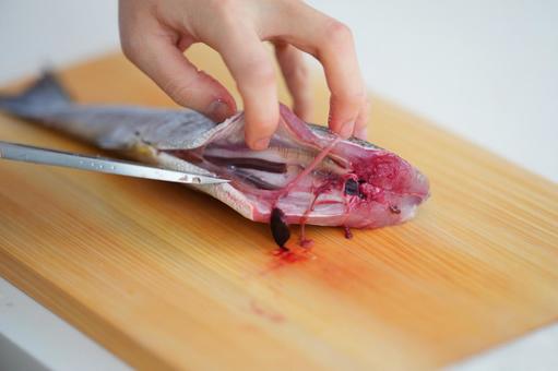 魚のお腹を捌いている手 魚,内臓,捌くの写真素材
