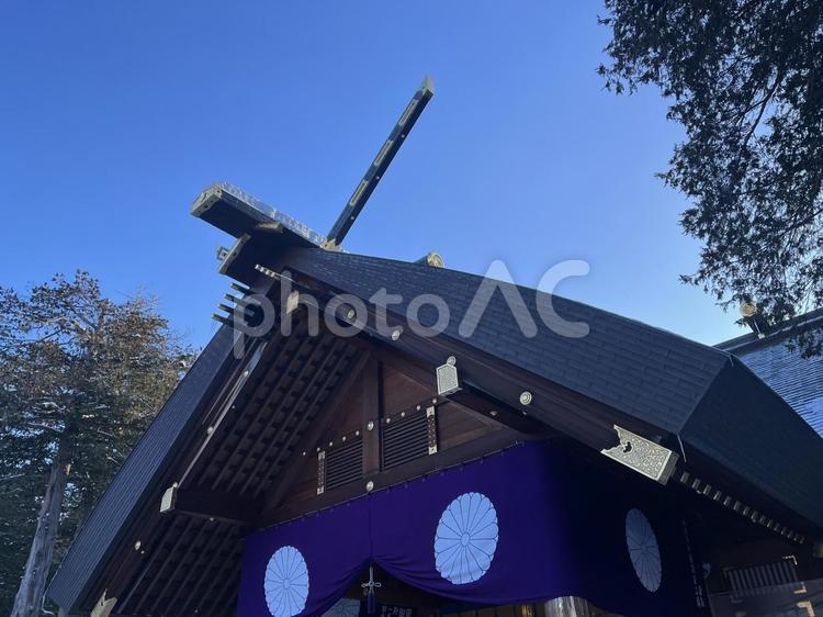 北海道神宮　初詣 北海道神宮,神社,初詣の写真素材