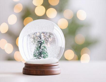 スノードーム5 スノードーム5の写真