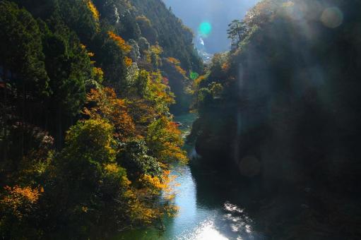 渓谷の秋の写真