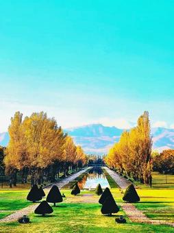 紅葉の季節の写真