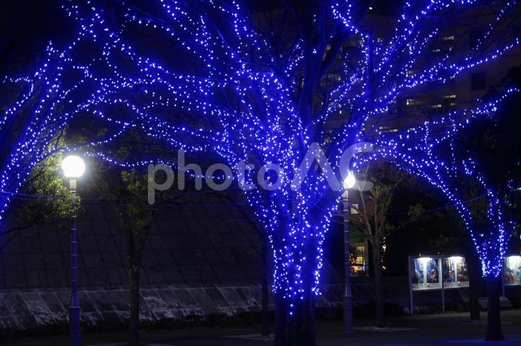 クリスマス　青いイルミネーション イルミネーション,冬,夜景の写真素材