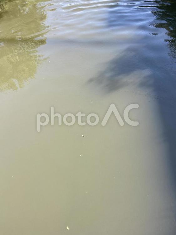 水面模様 水面,自然,風景の写真素材