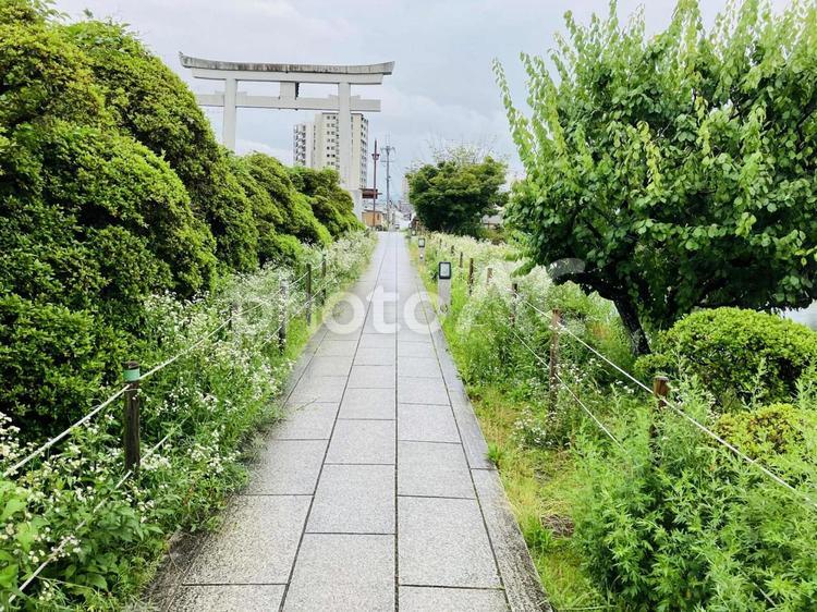 長岡天満宮　参道 長岡天満宮,京都府長岡京市,京都十六社の写真素材