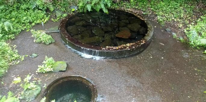 柿田川 湧き間 柿田川 湧き間の写真