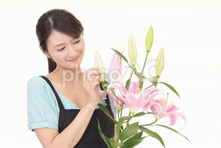 百合の花を持つエプロン姿の女性 女性,仕事,ビジネスの写真素材