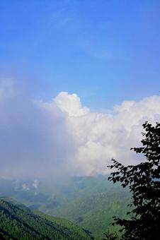 葉のシルエットと、広がる山々 山,山々,風景の写真素材