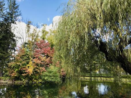 秋の公園 秋の公園の写真